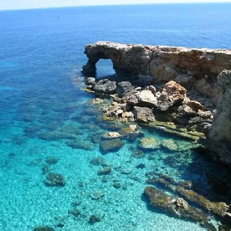 Margerita *